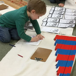 boy creating chart
